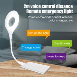 Smart voice control light2